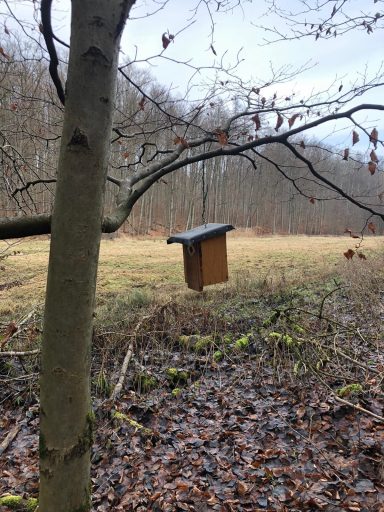 Penthouse für gefiederte Freunde