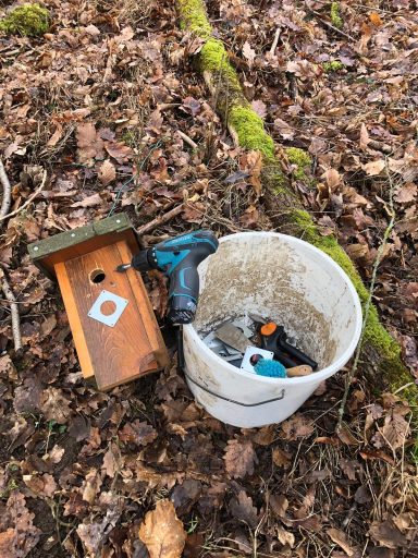 Auch im Wald noch viel Arbeit