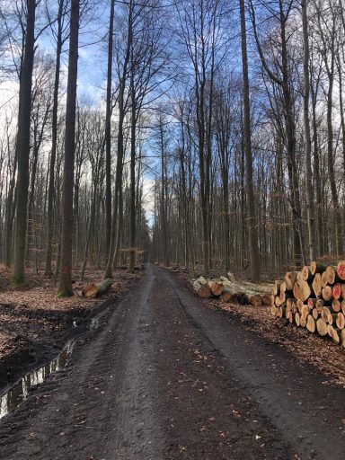 man sieht nix - gut so!