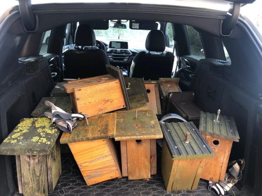 die nehmen wir erst mal mit