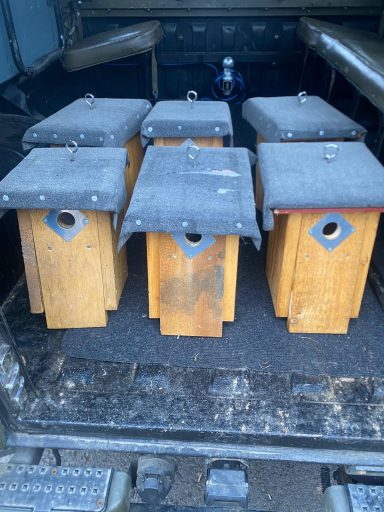 Unterwegs zu den Heimatbäumen